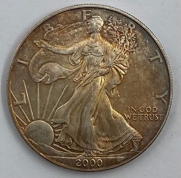 Hovedbilde Silver Eagle 2000 (1)