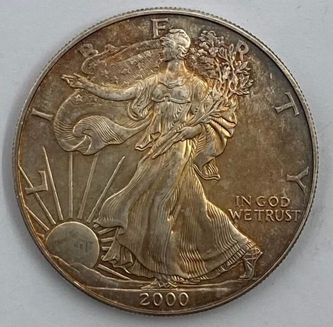 Hovedbilde USA: Silver Eagle 2000 (1)